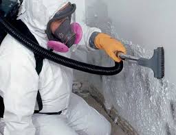 Mold Documentation for Insurance Claims in Commerce, GA